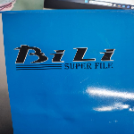 COURT FILE  BILI