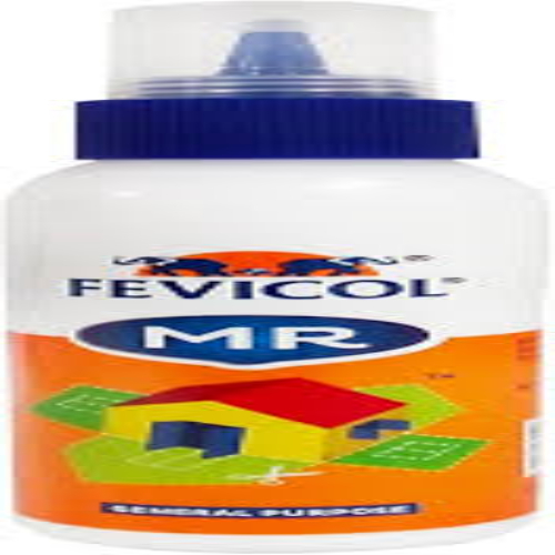 Fevicol gum mr 100grm